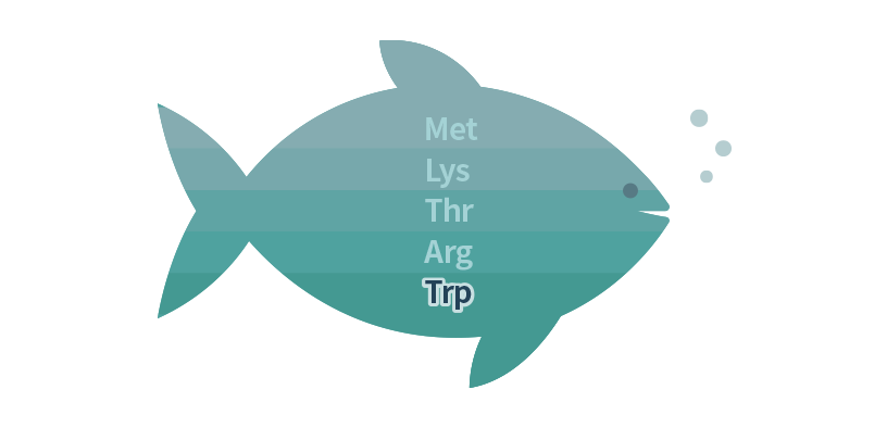 What is L-tryptophan