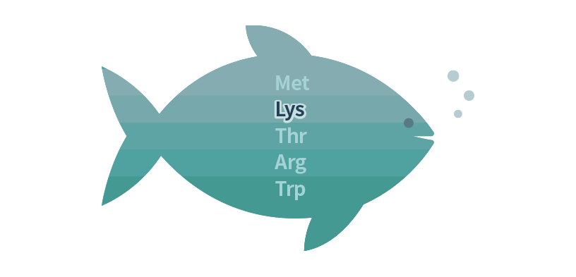 Amino Acids