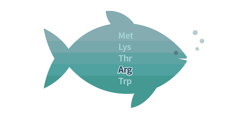 What is L-arginine