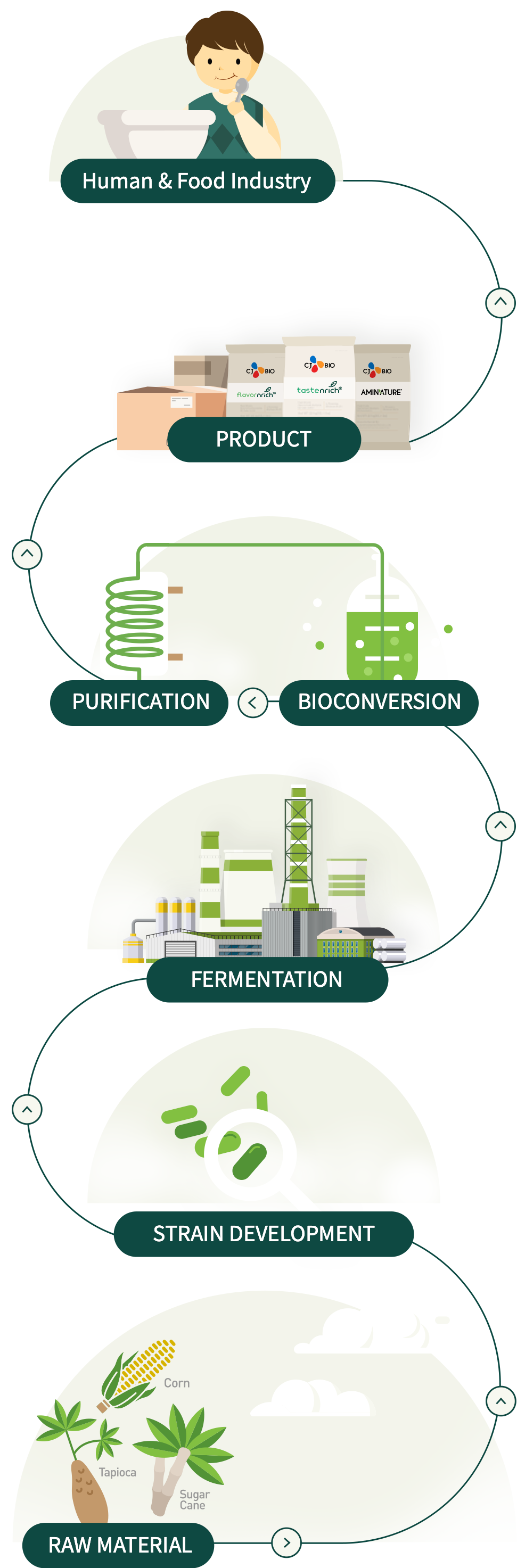 Bio process1