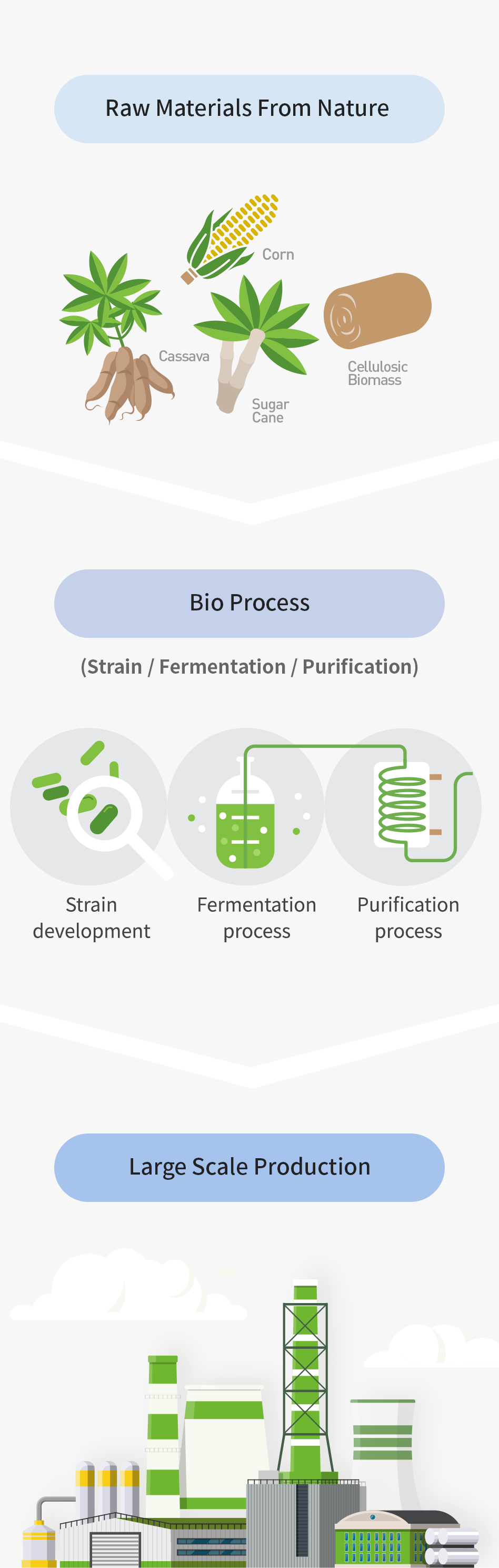 Cjphact Process