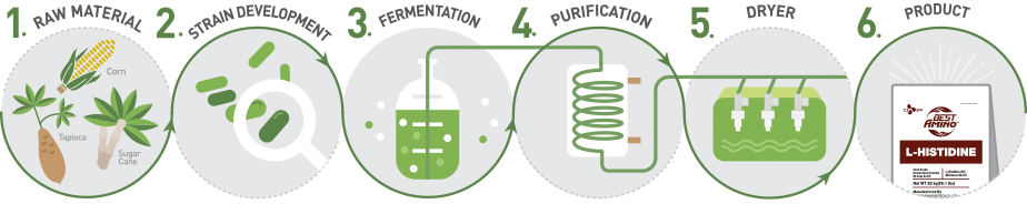 Fermentation Based