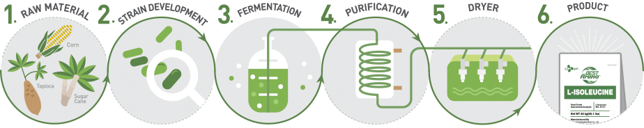 Fermentation Based