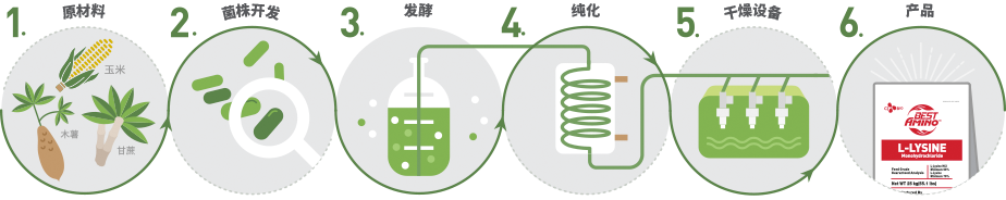 Healthy Amino Acids Produced
by the Eco-Friendly Fermentation Process