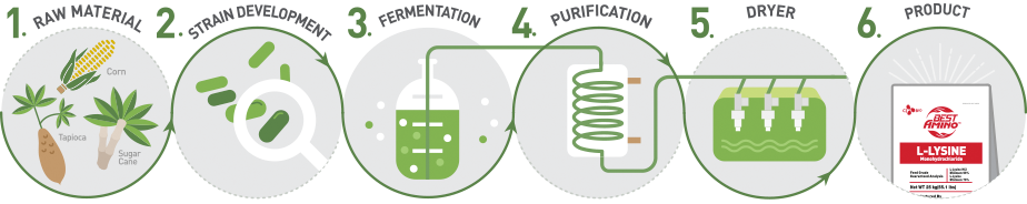 Healthy Amino Acids Produced
by the Eco-Friendly Fermentation Process