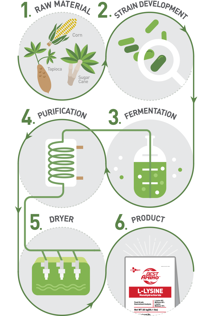 Healthy Amino Acids Produced
by the Eco-Friendly Fermentation Process