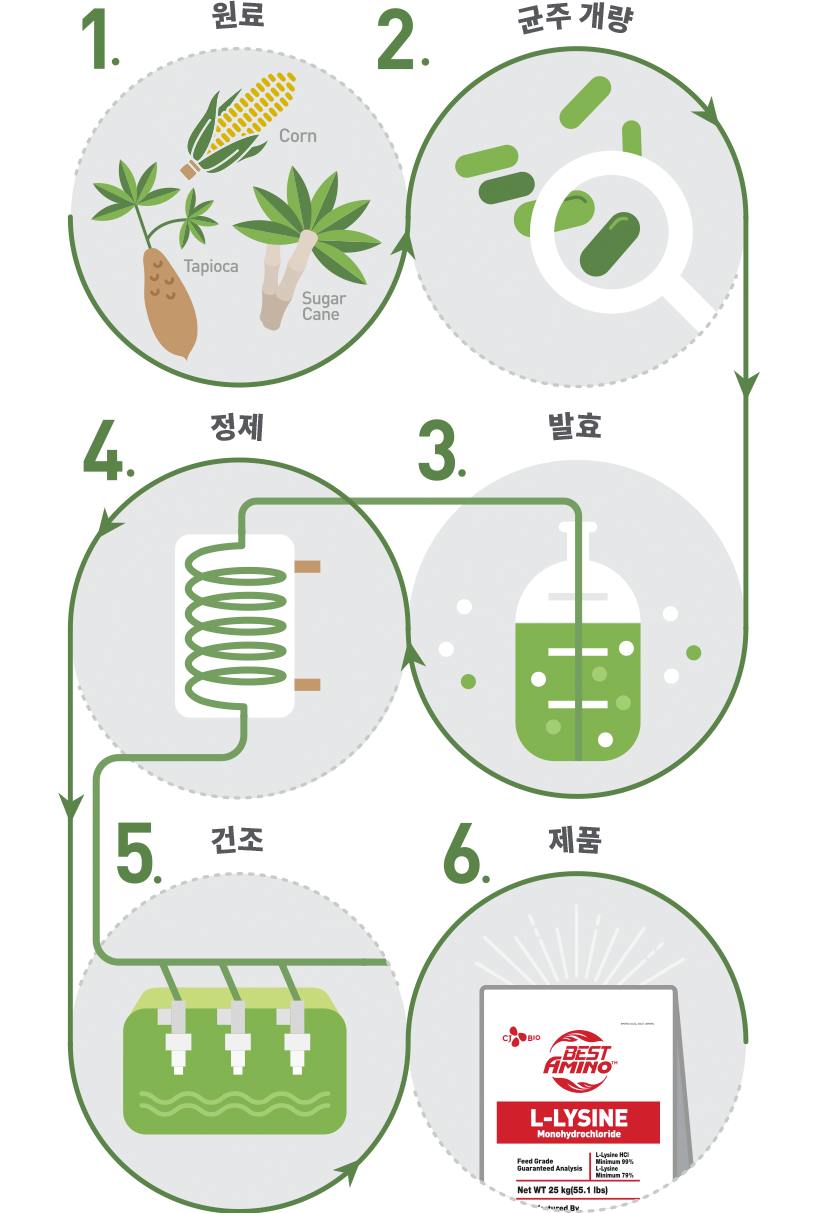 Healthy Amino Acids Produced
by the Eco-Friendly Fermentation Process