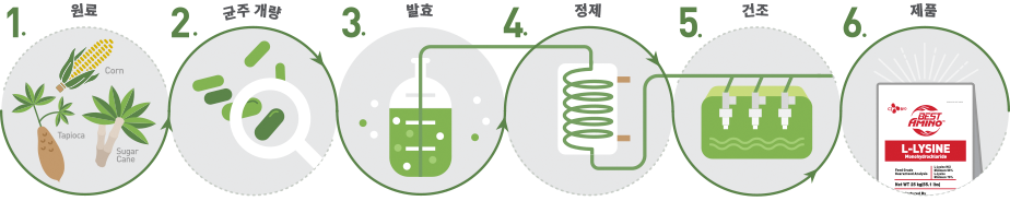 Healthy Amino Acids Produced
by the Eco-Friendly Fermentation Process