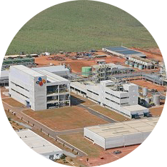 Completed construction of powdered lysine plant in Piracicaba, Brazil