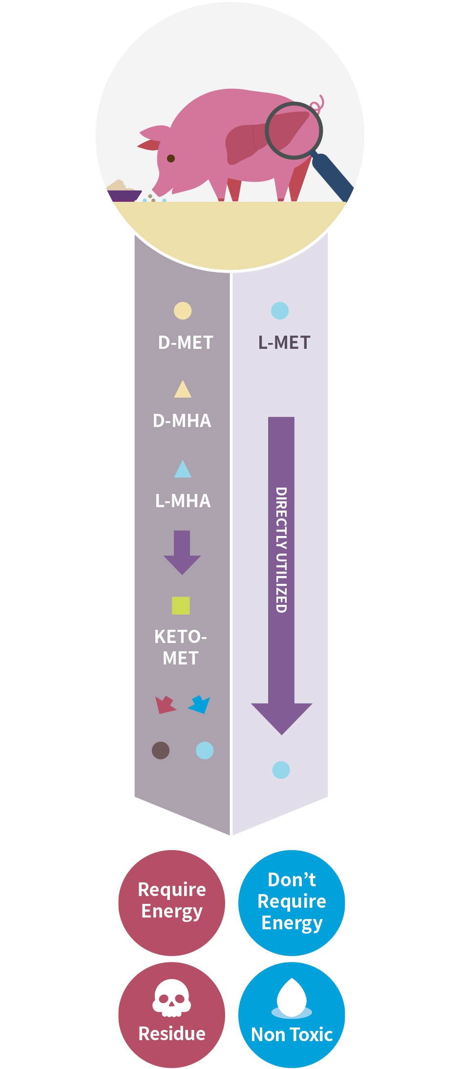 Methionine