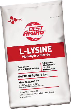 Product Lysine Intro