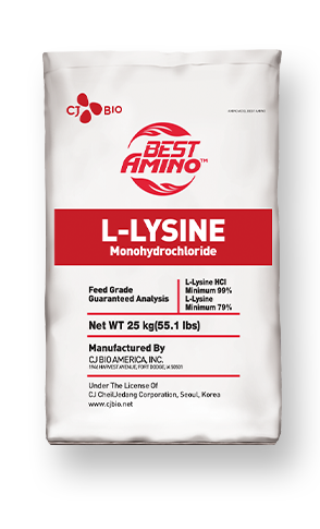 L-Lysine