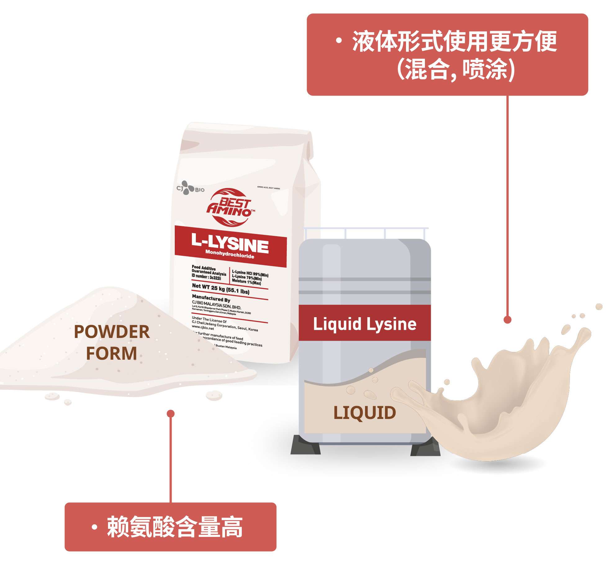 illust_L-Lysine_forms_CHN_mobile