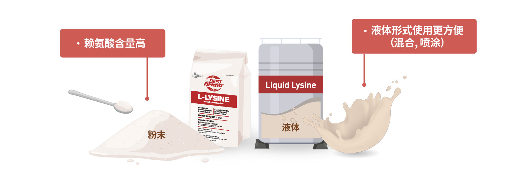 illust_L-Lysine_forms_CHN_web