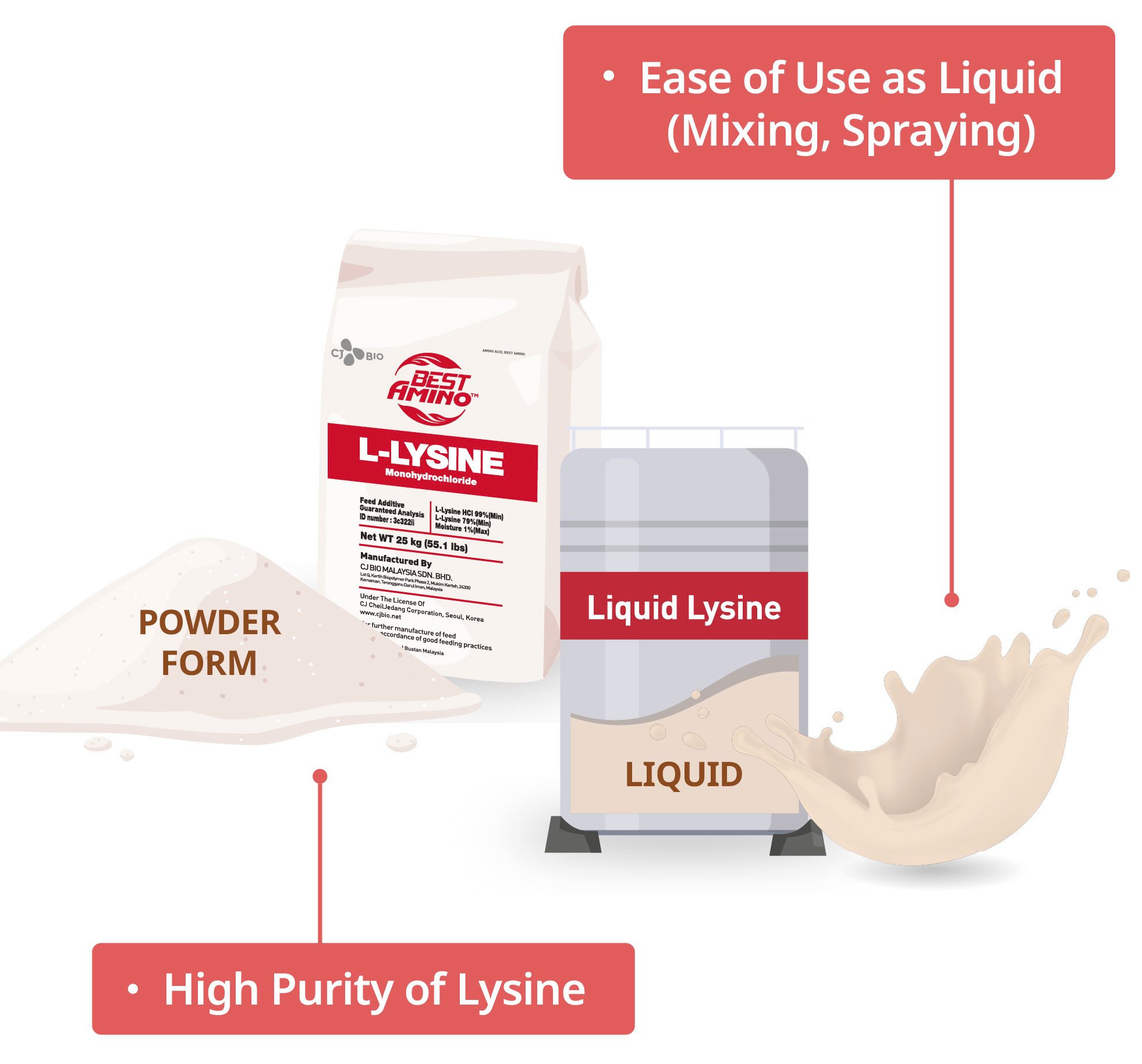 illust_L-Lysine_forms_en_mobile