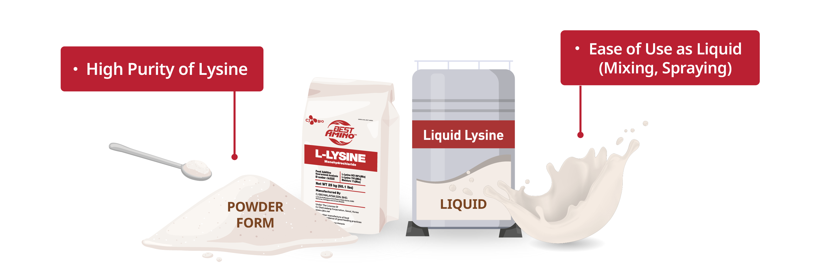illust_L-Lysine_forms_en_web2