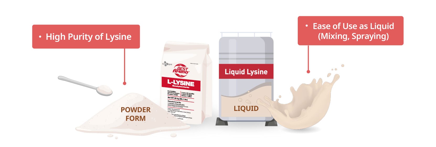 illust_L-Lysine_forms_en_web_