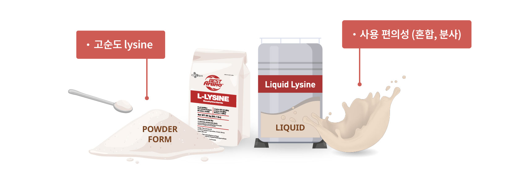 illust_L-Lysine_forms_kr_web