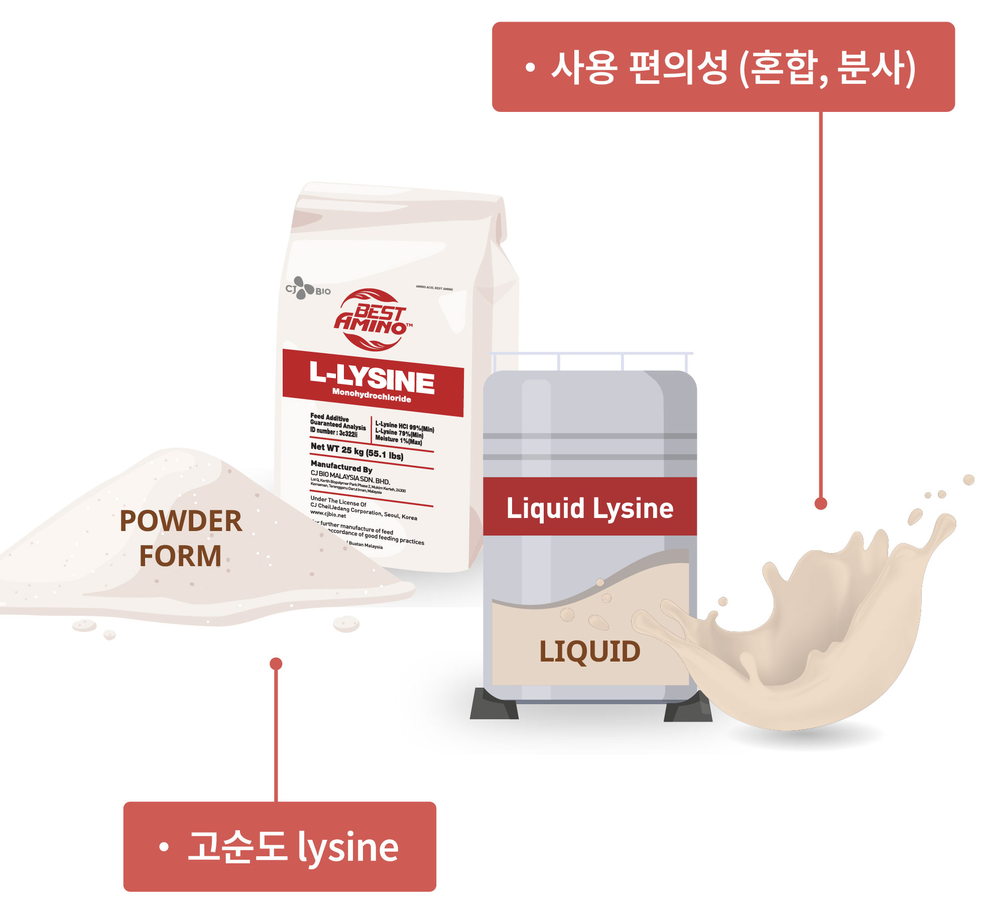 illust_L-Lysine_forms_kr_web_mobile