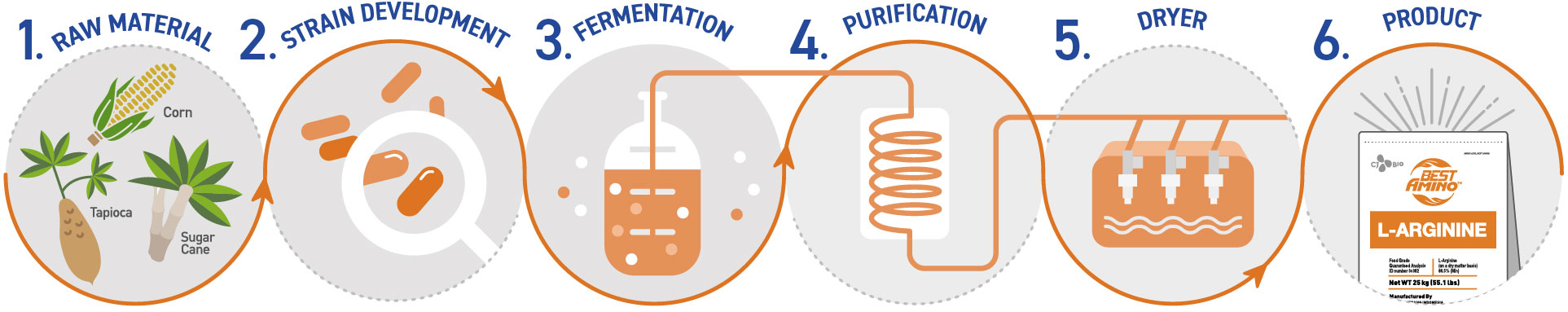 img_fermentation_Arg_Horizontal