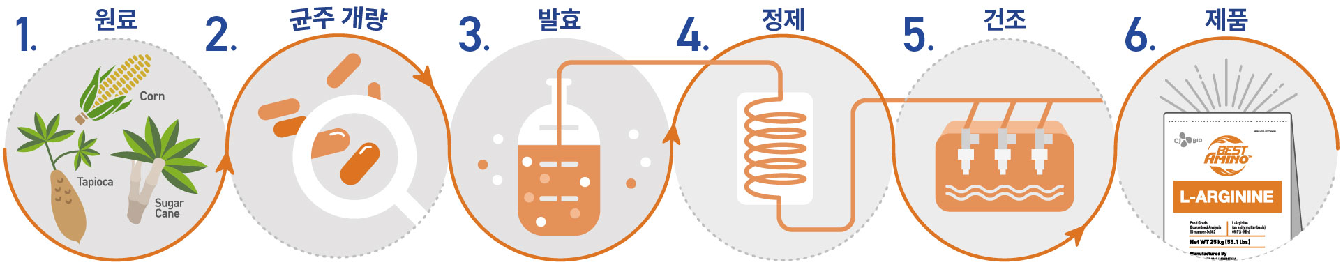 img_fermentation_Arg_Horizontal_KR