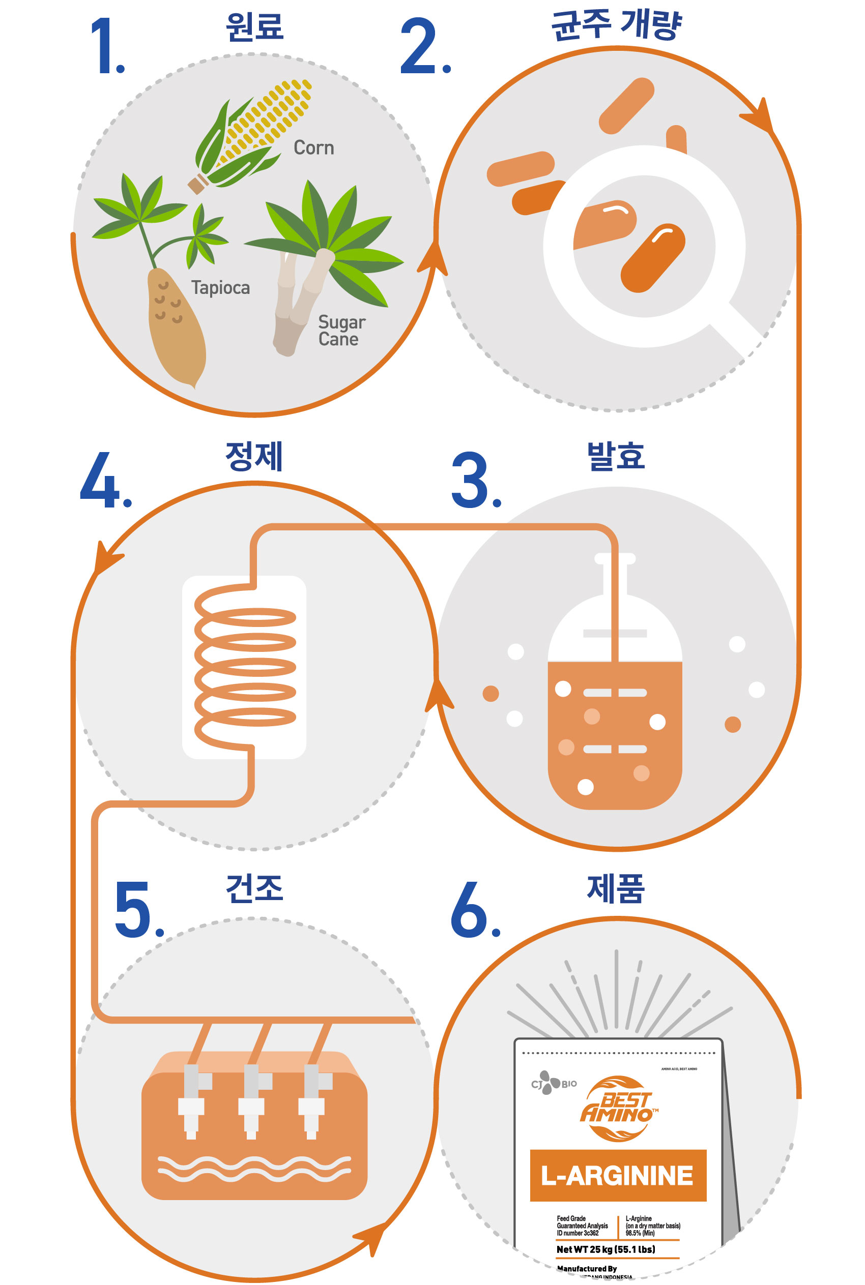 img_fermentation_Arg_Vertical_KR