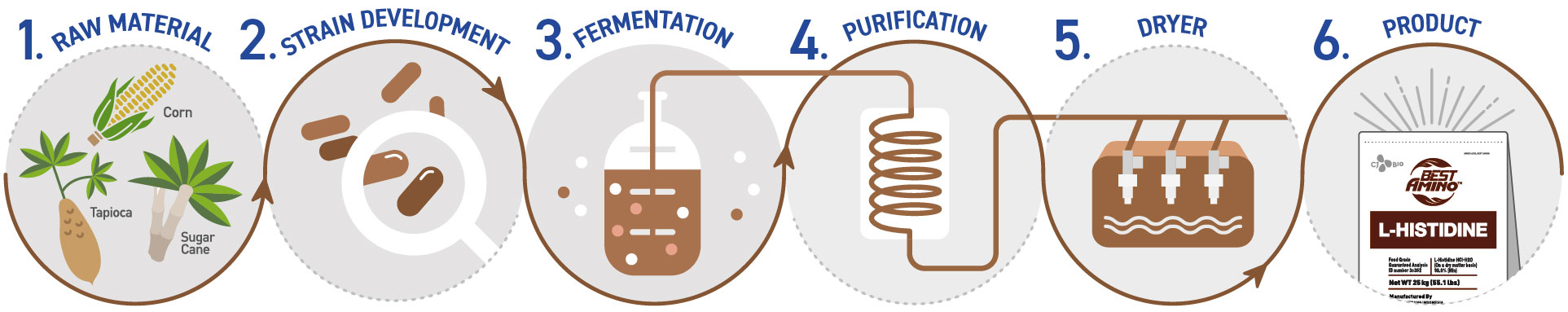 img_fermentation_His_Horizontal