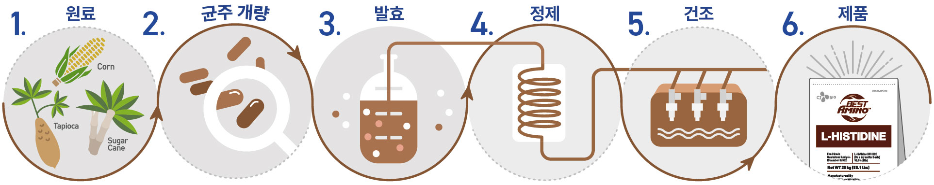 img_fermentation_His_Horizontal_KR