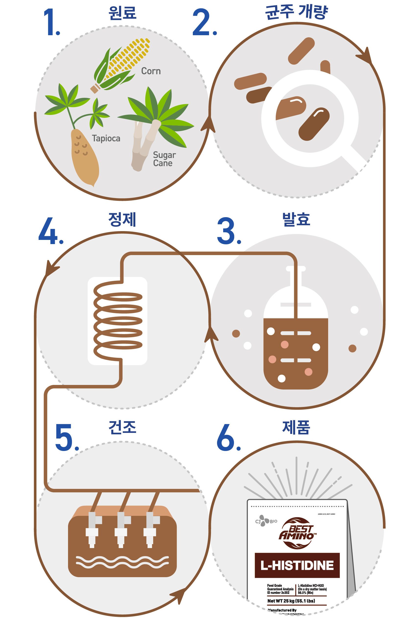 img_fermentation_His_Vertical_KR