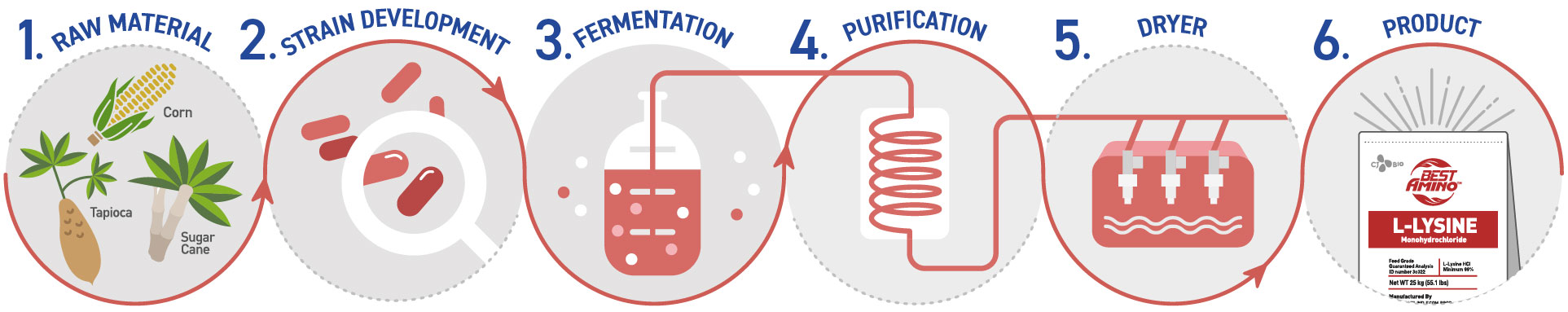 img_fermentation_Lys_Horizontal