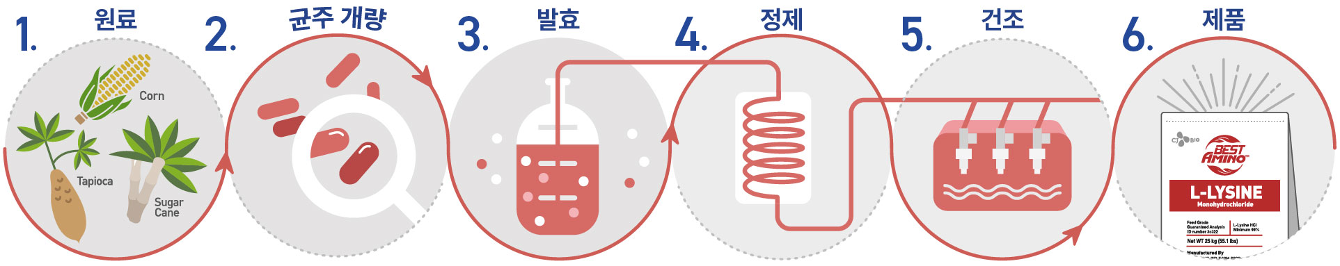 img_fermentation_Lys_Horizontal_KR