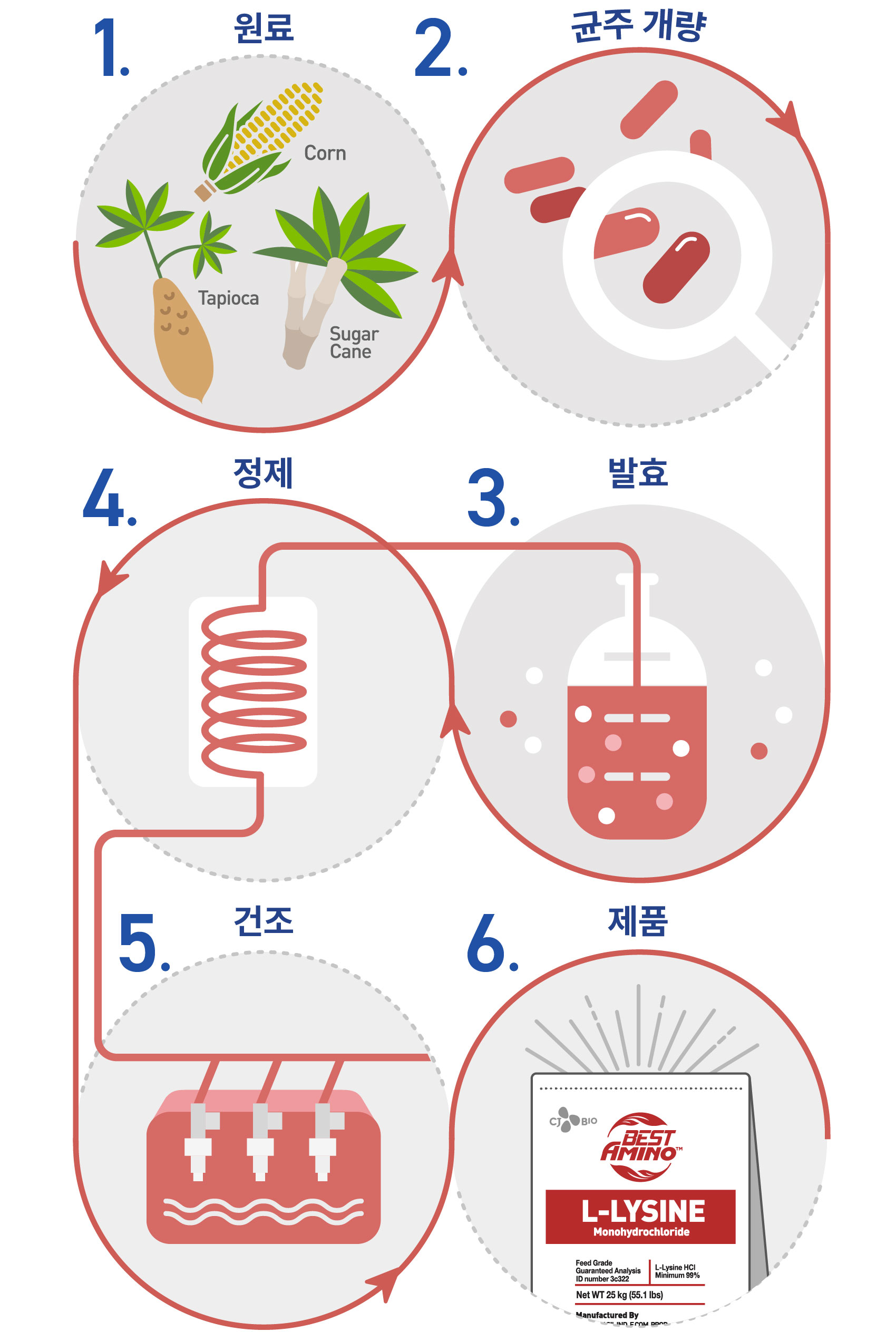 img_fermentation_Lys_Vertical_KR