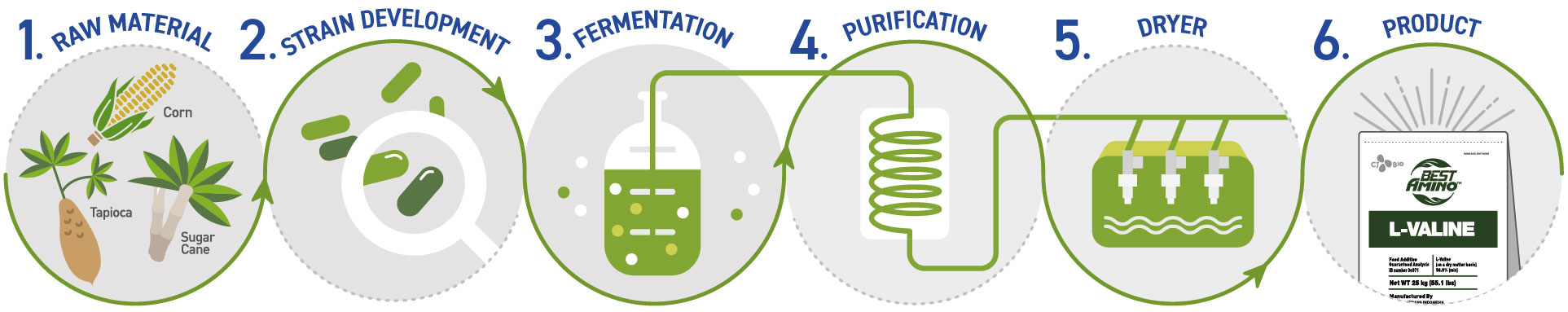 img_fermentation_Val_Horizontal-1