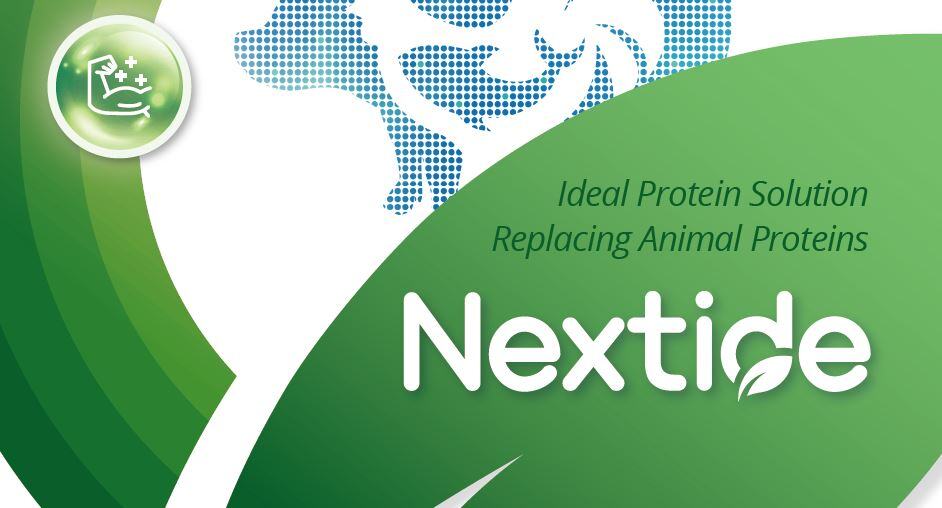 nextide leaflet thumbnail-1